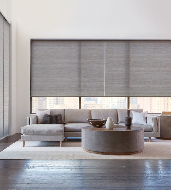 Roller Blinds - Transparence Blinds - Light-filtering Roller Shades - Translucent Fabric