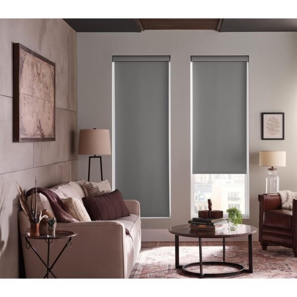 Roller Blinds - Transparence Blinds - Light-filtering Roller Shades - Translucent Fabric - Image 2